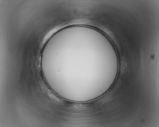 X0000116351366200912221453