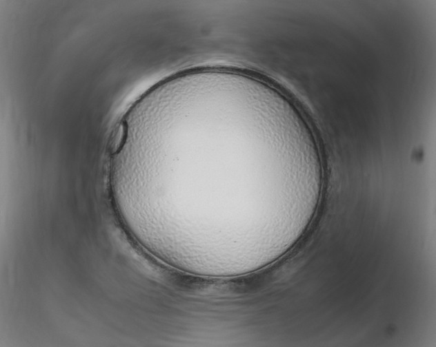 X0000116351367200912221453