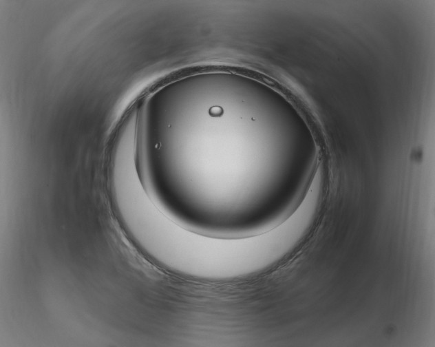 X0000116351368200912221453