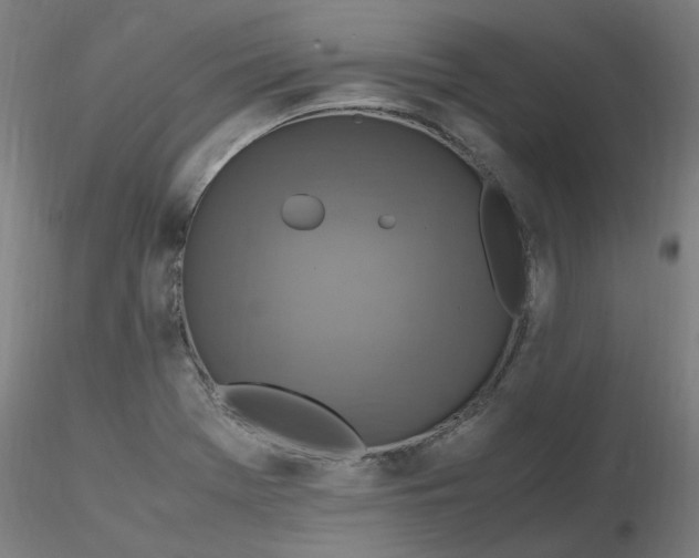 X0000116351369200912221453