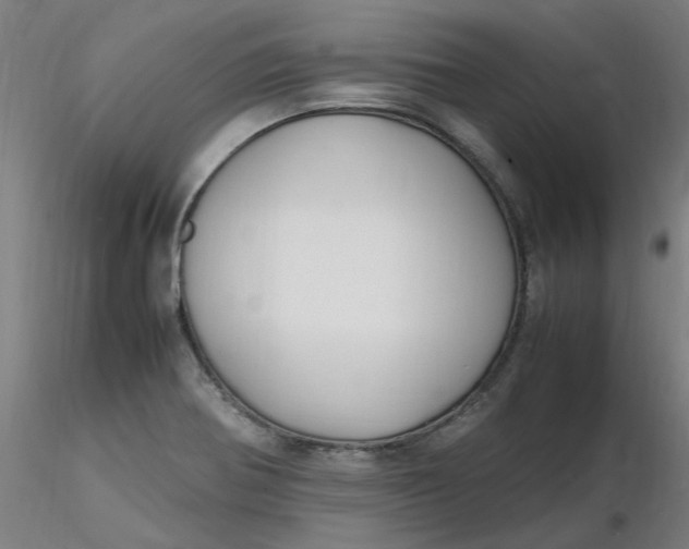 X0000116351370200912221453