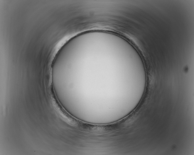 X0000116351371200912221453