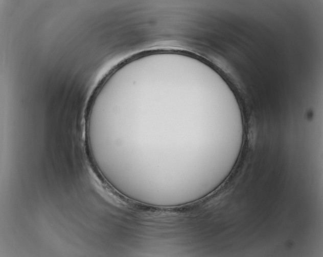 X0000116351372200912221453