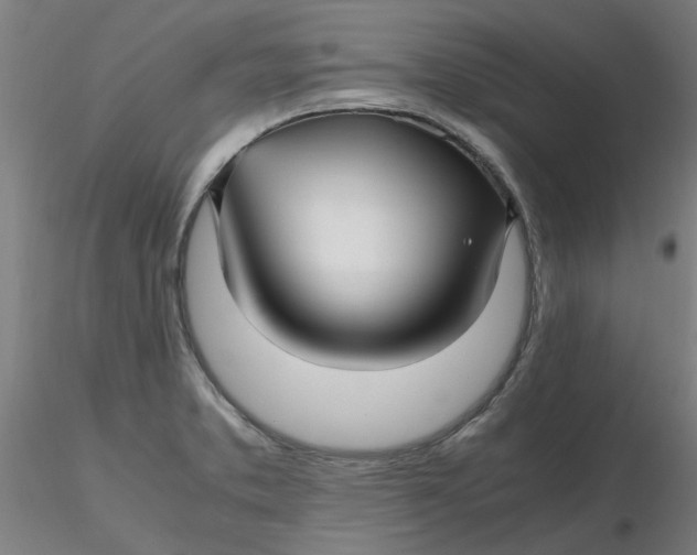 X0000116351373200912221453