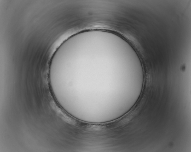 X0000116351374200912221453