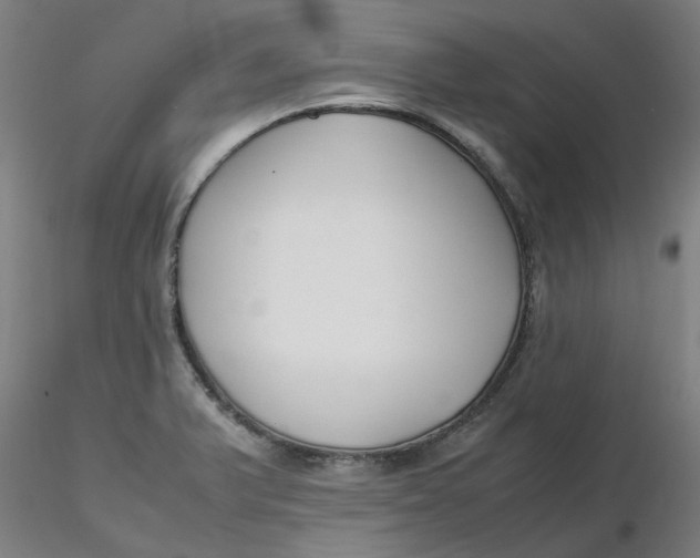 X0000116351375200912221453