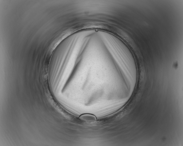 X0000116351377200912221453