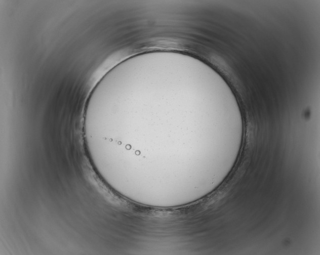 X0000116351378200912221453