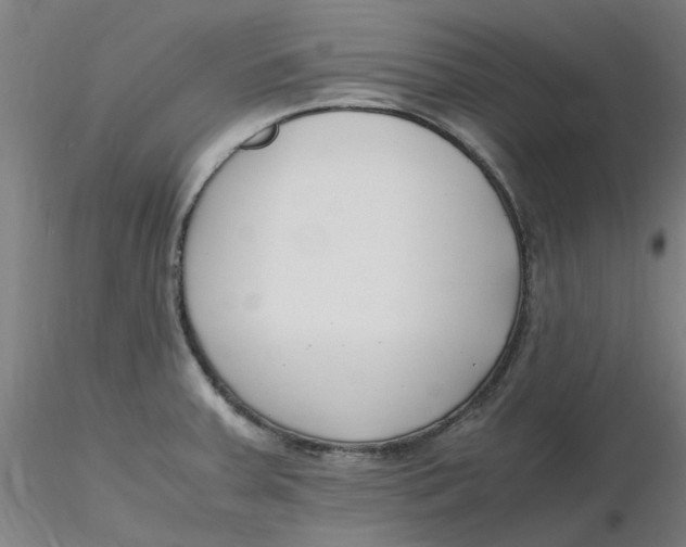 X0000116351379200912221453