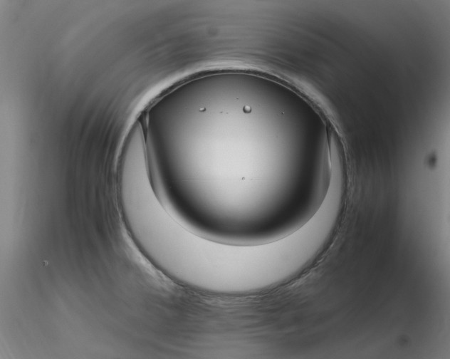 X0000116351380200912221453