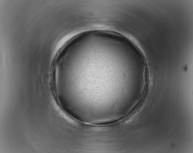 X0000116351381200912221453