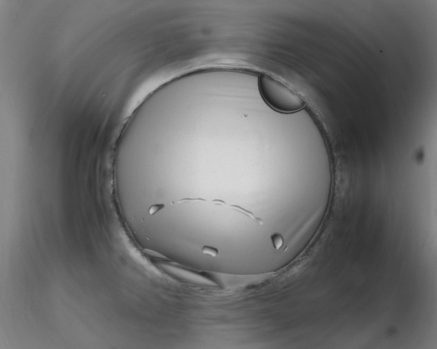 X0000116351382200912221453