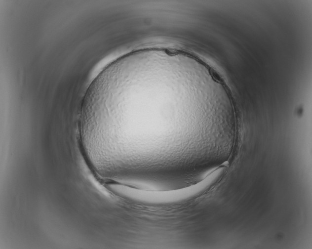 X0000116351383200912221453