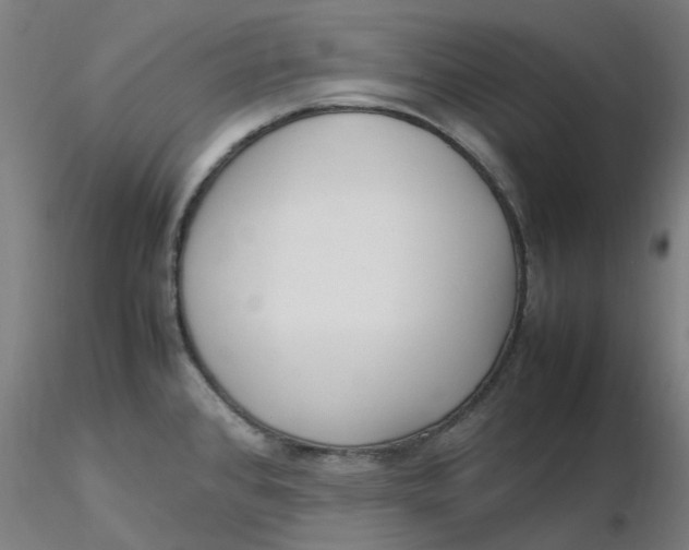 X0000116351384200912221453