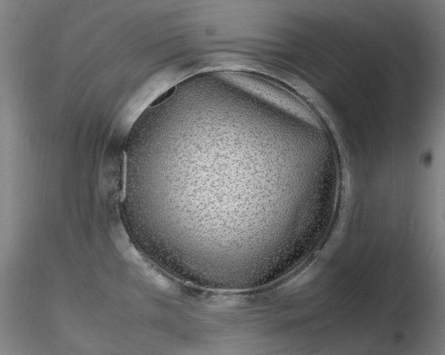 X0000116351385200912221453