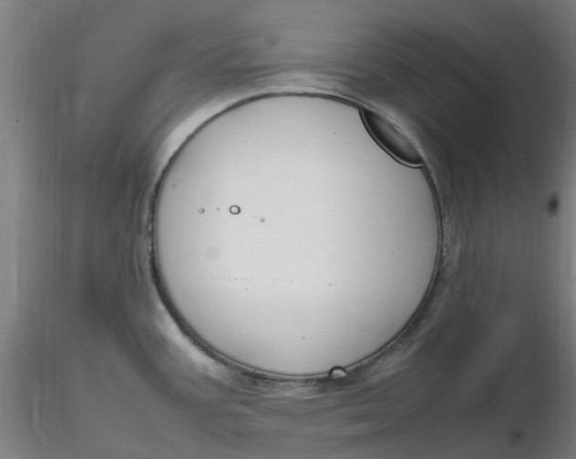 X0000116351387200912221453