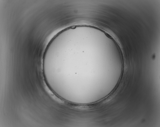 X0000116351388200912221453