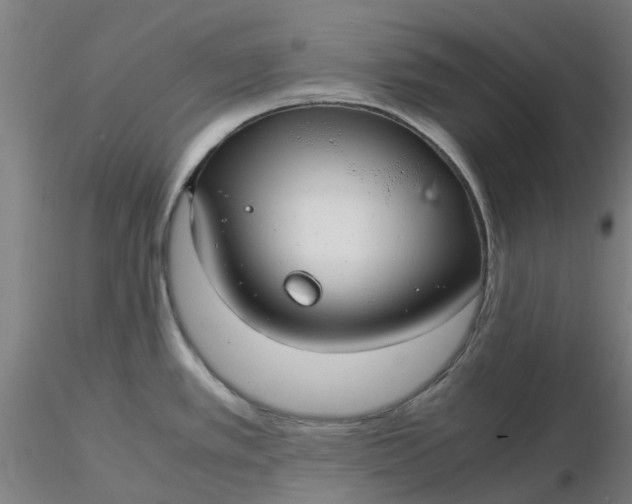 X0000116351389200912221453