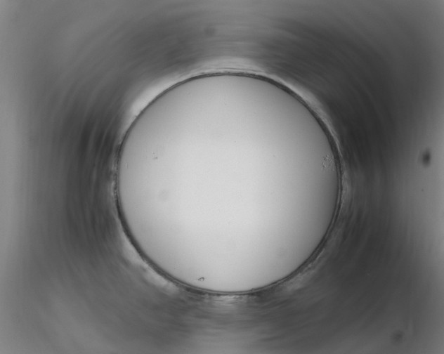 X0000116351390200912221453