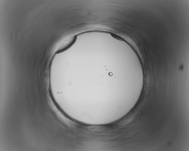 X0000116351391200912221453