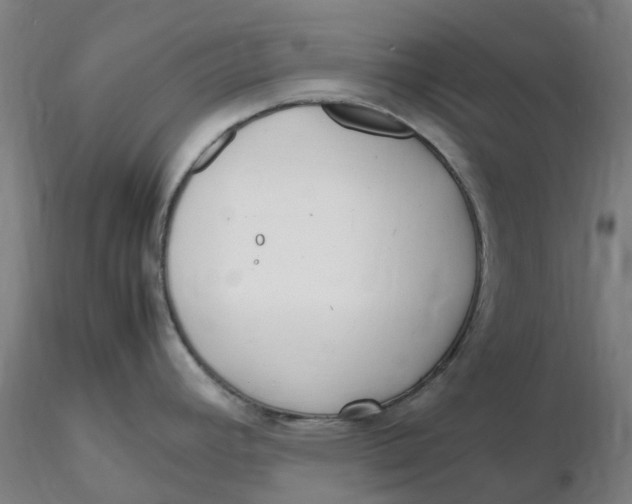 X0000116351392200912221453