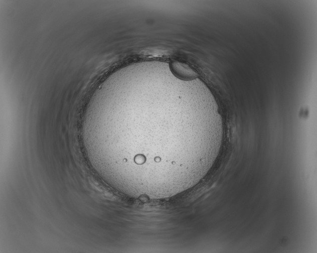 X0000116351393200912221452