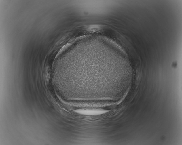 X0000116351394200912221452