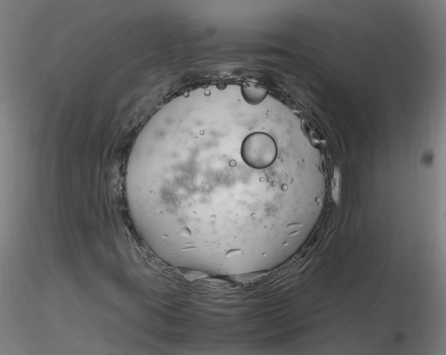 X0000116351395200912221452