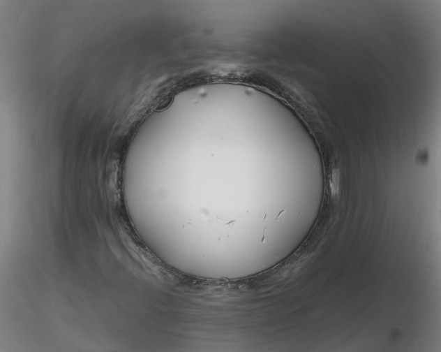 X0000116351396200912221452