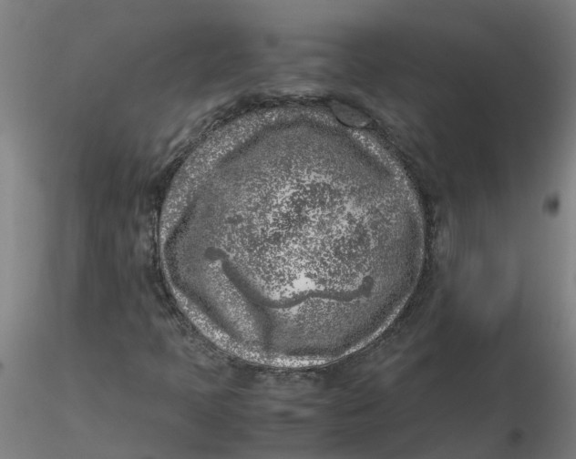 X0000116351397200912221452