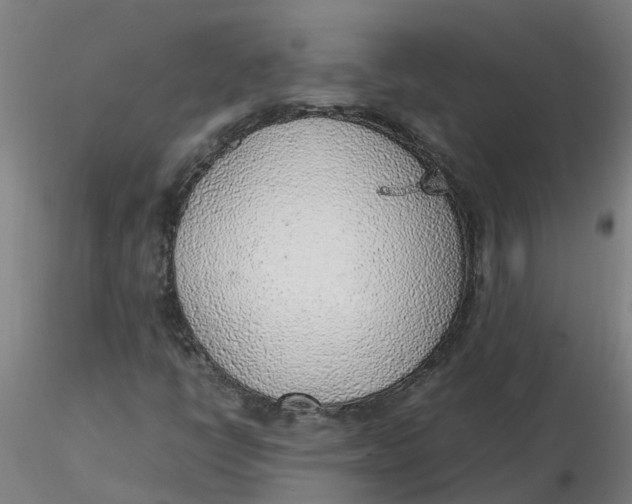 X0000116351398200912221452