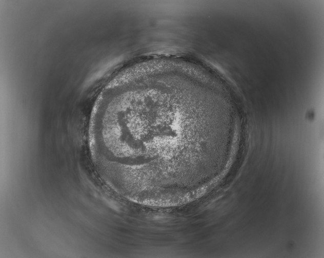 X0000116351399200912221452