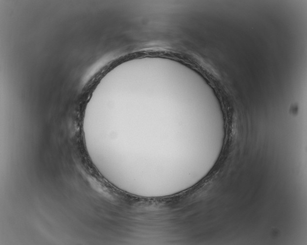 X0000116351400200912221452