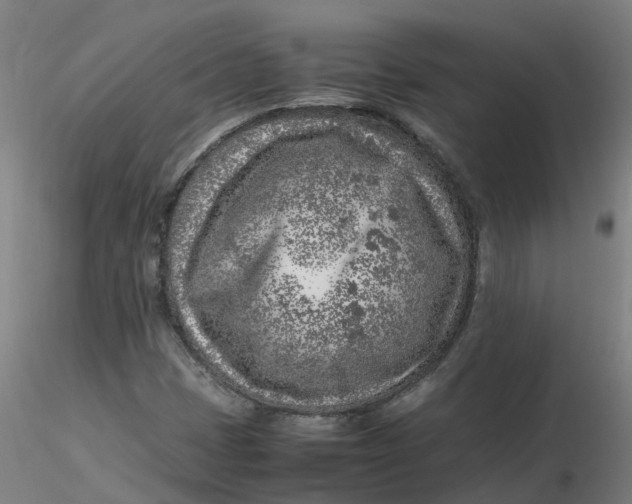 X0000116351401200912221452