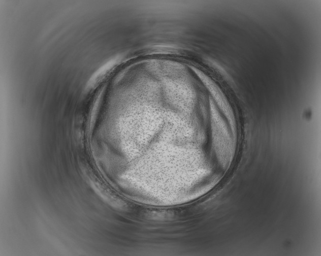 X0000116351403200912221452