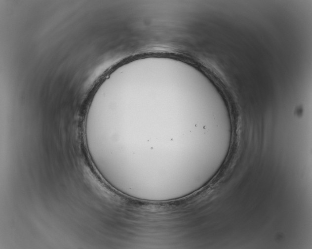 X0000116351404200912221452