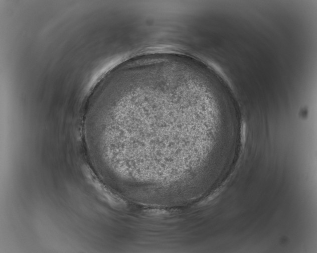 X0000116351405200912221452