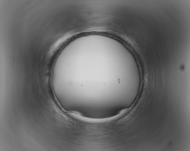 X0000116351406200912221452