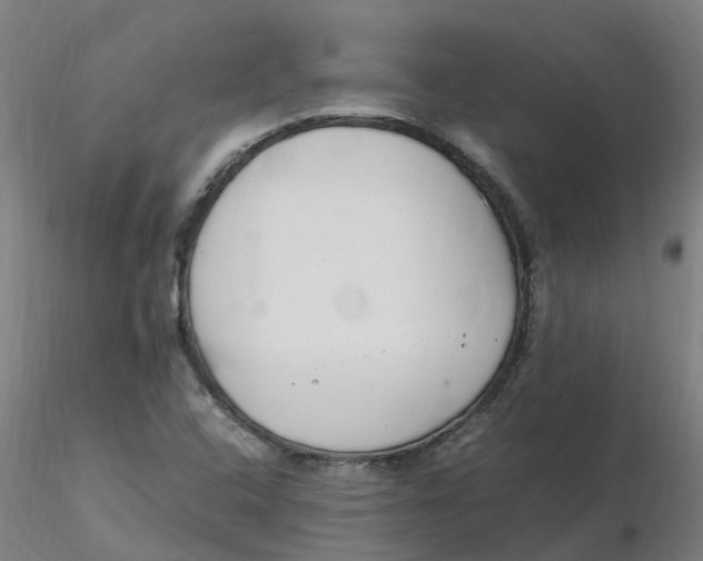 X0000116351408200912221452