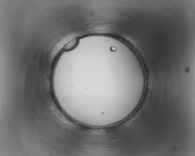 X0000116351410200912221452