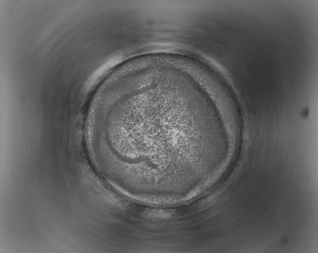 X0000116351411200912221452