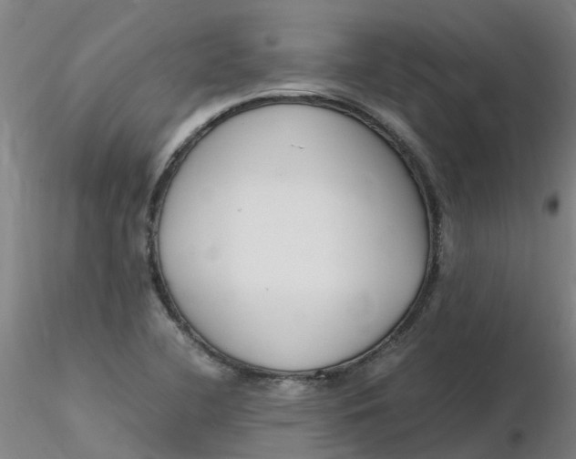 X0000116351412200912221452