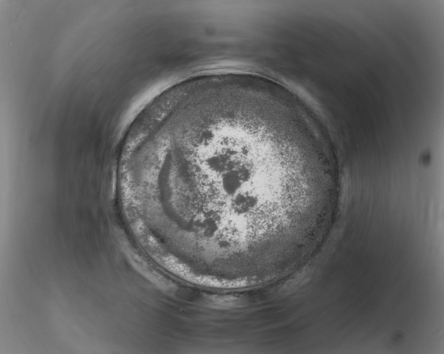 X0000116351413200912221452