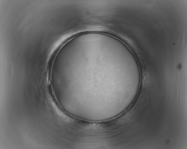 X0000116351414200912221452