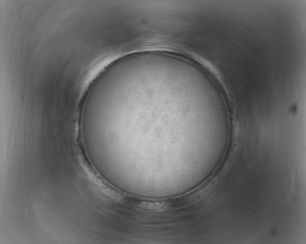 X0000116351415200912221452