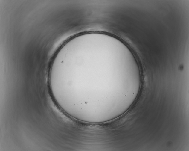 X0000116351416200912221452