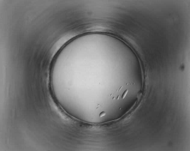 X0000116351418200912221452