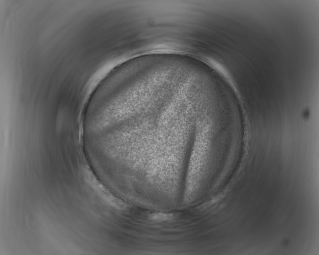 X0000116351419200912221452