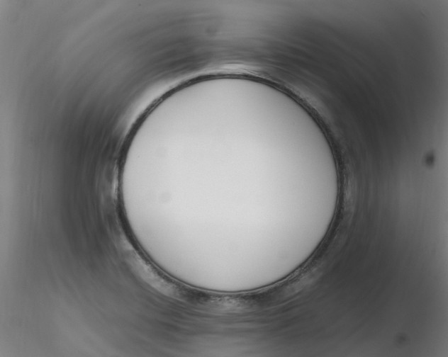 X0000116351420200912221452