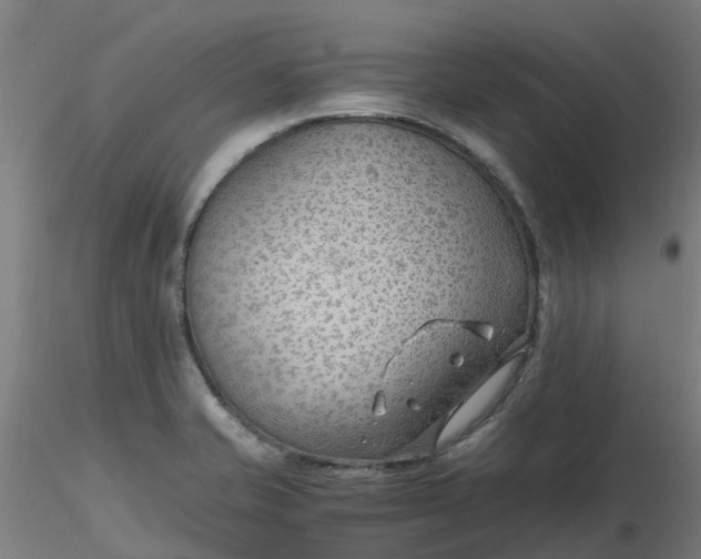 X0000116351421200912221452